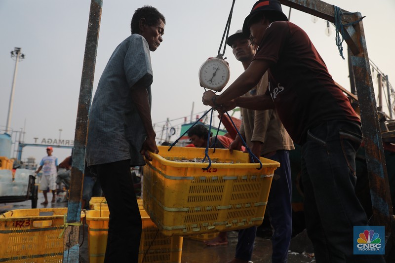 Seorang pekerja/buruh membawa ikan yang diturunkan dari kapal di Muara Angke, Jakarta, Jumat, (28/7). Seorang pekerja/buruh membawa ikan yang diturunkan dari kapal di Muara Angke, Jakarta, Jumat, (28/7). (CNBC Indonesia/Muhammad Sabki)