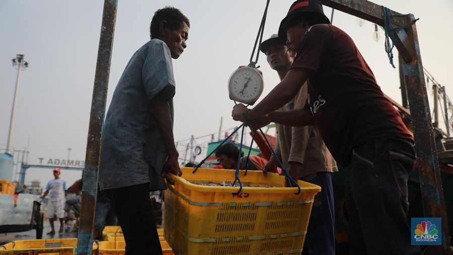 Seorang pekerja/buruh membawa ikan yang diturunkan dari kapal di Muara Angke, Jakarta, Jumat, (28/7). (CNBC Indonesia/Muhammad Sabki)
