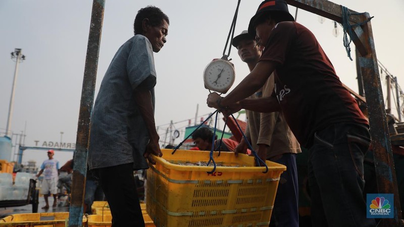 Seorang pekerja/buruh membawa ikan yang diturunkan dari kapal di Muara Angke, Jakarta, Jumat, (28/7). (CNBC Indonesia/Muhammad Sabki)