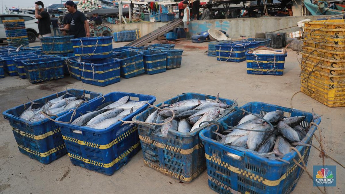 Ikan Berlimpah, Harga Tetap Murah saat Natal dan Tahun Baru: KKP Jamin Pasokan Aman