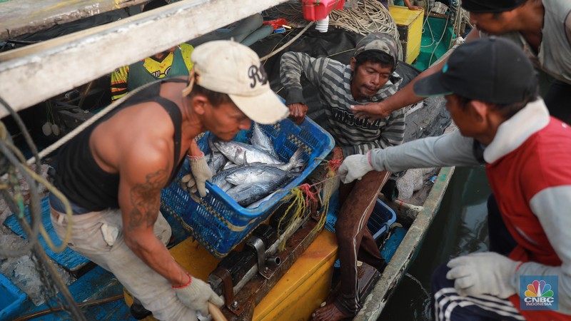 Seorang pekerja/buruh membawa ikan yang diturunkan dari kapal di Muara Angke, Jakarta, Jumat, (28/7). (CNBC Indonesia/Muhammad Sabki)