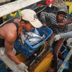 Trenggono Blak-blakan ke DPR Penangkapan Ikan Terukur Belum Jalan