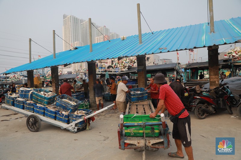 Seorang pekerja/buruh membawa ikan yang diturunkan dari kapal di Muara Angke, Jakarta, Jumat, (28/7). (CNBC Indonesia/Muhammad Sabki)