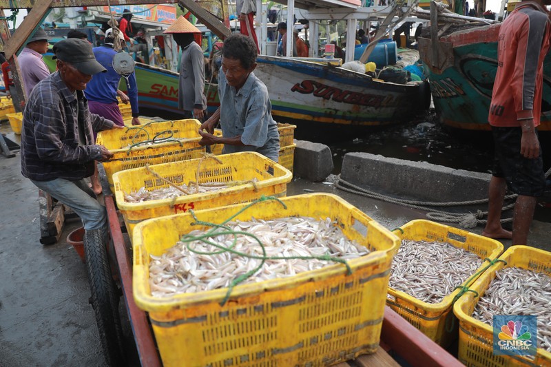 Seorang pekerja/buruh membawa ikan yang diturunkan dari kapal di Muara Angke, Jakarta, Jumat, (28/7). Seorang pekerja/buruh membawa ikan yang diturunkan dari kapal di Muara Angke, Jakarta, Jumat, (28/7). (CNBC Indonesia/Muhammad Sabki)