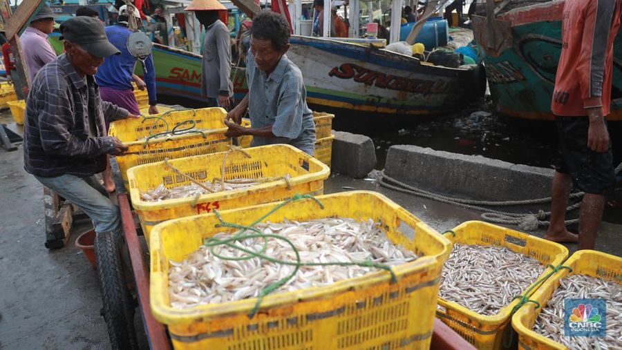 Seorang pekerja/buruh membawa ikan yang diturunkan dari kapal di Muara Angke, Jakarta, Jumat, (28/7). (CNBC Indonesia/Muhammad Sabki)