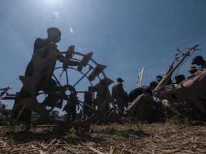 Bukan Pungli, Penyuluh Pertanian Sebut Bantuan Traktor Rp 3 Juta Uang Syukuran