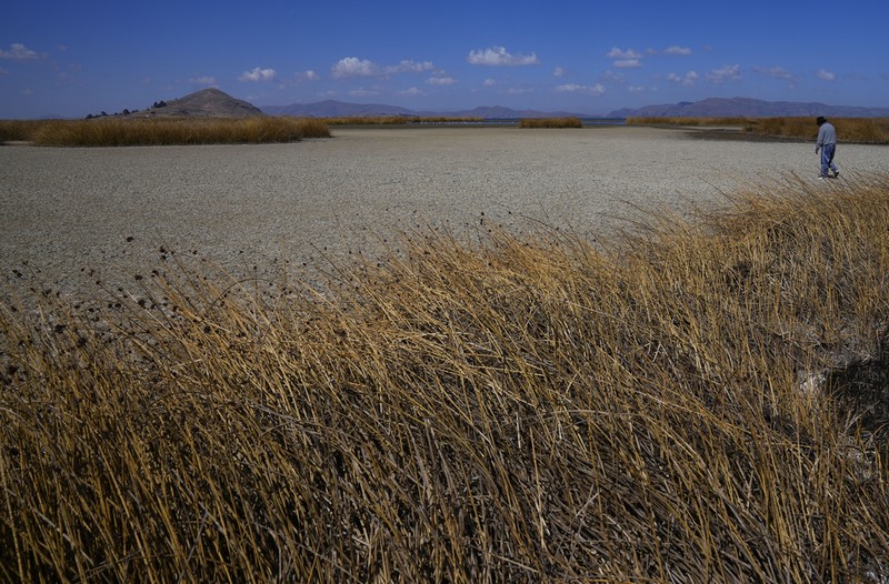 Kekeringan melanda Danau Titicaca di Bolvia. (AP Photo/Juan Karita)