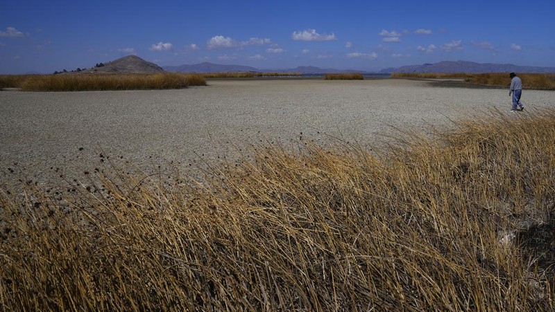 Kekeringan melanda Danau Titicaca di Bolvia. (AP Photo/Juan Karita)