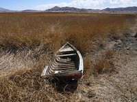 Penampakan Kekeringan Parah Landa Danau Ikonik di Bolivia