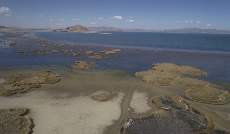 Kekeringan melanda Danau Titicaca di Bolvia. (AP Photo/Juan Karita)