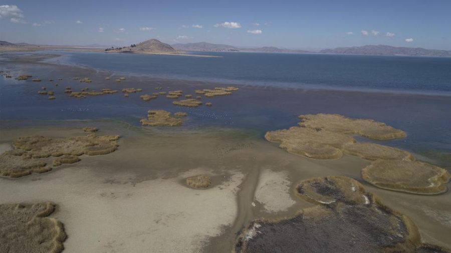 Kekeringan melanda Danau Titicaca di Bolvia. (AP Photo/Juan Karita)