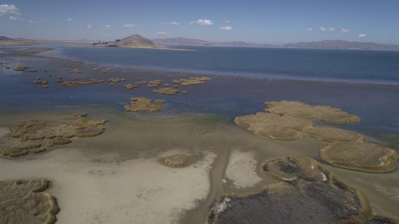 Kekeringan melanda Danau Titicaca di Bolvia. (AP Photo/Juan Karita)