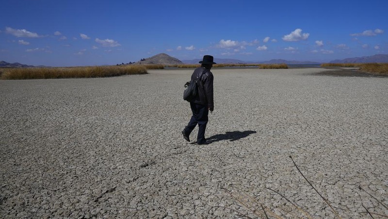 Kekeringan melanda Danau Titicaca di Bolvia. (AP Photo/Juan Karita)