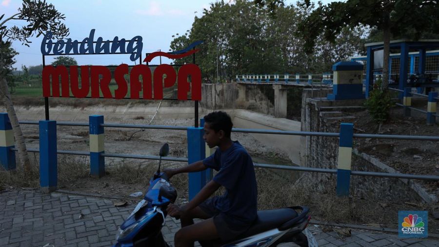 Bendungan Mursapa yang menyusut saat musim kemarau berkepanjangan di Desa Pucung Kidul, Kedungtuban, Kecamatan Kedungtuban, Kabupaten Blora, Jawa Tengah, Senin (31/7/2023). (CNBC Indonesia/Tri Susilo)