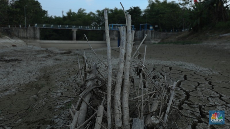 Bendungan Mursapa yang menyusut saat musim kemarau berkepanjangan di Desa Pucung Kidul, Kedungtuban, Kecamatan Kedungtuban, Kabupaten Blora, Jawa Tengah, Senin (31/7/2023). (CNBC Indonesia/Tri Susilo) Bendungan Mursapa yang menyusut saat musim kemarau berkepanjangan di Desa Pucung Kidul, Kedungtuban, Kecamatan Kedungtuban, Kabupaten Blora, Jawa Tengah, Senin (31/7/2023). (CNBC Indonesia/Tri Susilo)