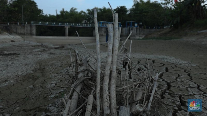 Bendungan Mursapa yang menyusut saat musim kemarau berkepanjangan di Desa Pucung Kidul, Kedungtuban, Kecamatan Kedungtuban, Kabupaten Blora, Jawa Tengah, Senin (31/7/2023). (CNBC Indonesia/Tri Susilo)