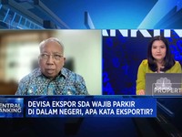 BI Hingga OJK Tebar Insentif DHE, Sesuai Keinginan Eksportir?