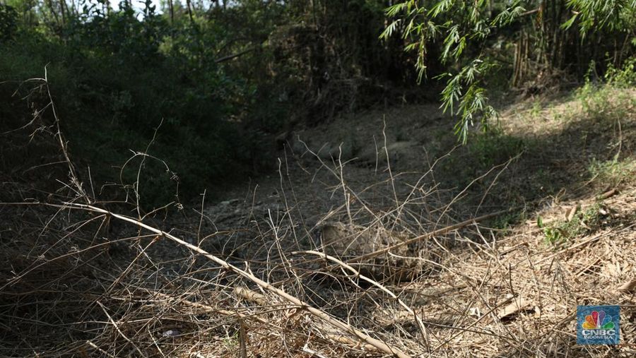 Kondisi Waduk Desa Blungun yang mengering di Jawa Tengah, Senin (31/7/2023). (CNBC Indonesia/Tri Susilo)