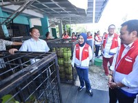 Dirut Pertamina Pastikan Stok Pasokan LPG di Sumsel Aman