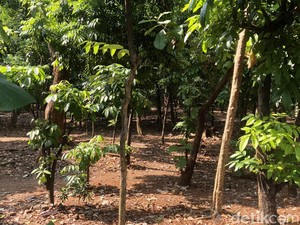 Diduga Ada Prostitusi Sesama Jenis di Taman Kota Cawang, Pemkot Temukan Kondom