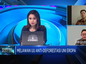 Bos Sawit: Diskriminasi Uni Eropa Bikin Harga CPO Tertekan