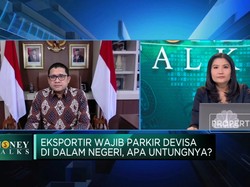 Deretan Insentif Sri Mulyani Untuk Tarik Devisa Ekspor SDA