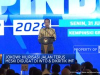 Ini Kronologi Kekalahan RI di WTO & Reaksi Mengejutkan Jokowi