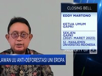 Video: Ini Cara Pengusaha Sawit Lawan Diskriminasi Uni Eropa!