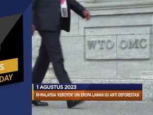 Inflasi RI Melandai Hingga Kiamat Beras Ancam Bumi