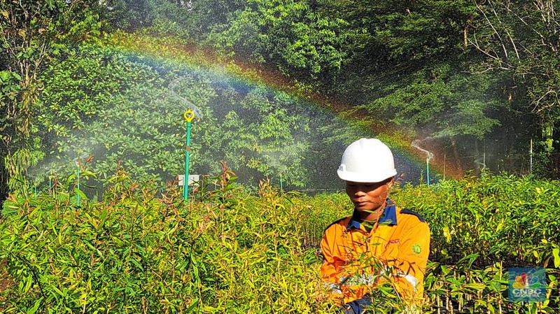 Kegiatan operasi smelter nikel PT Vale Indonesia Tbk. (INCO) di Sorowako, Luwu Timur, Sulawesi Selatan. (CNBC Indonesia/Lucky Leonard Leatemia)
