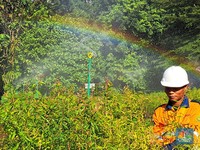 Vale Groundbreaking Nursery, Alasannya Terungkap