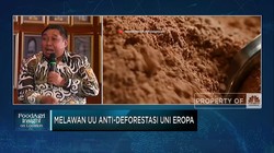 Petani Kakao Sebut UU Anti Deforestasi Eropa Salah Sasaran!