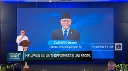 Selamatkan 8 Juta Petani, Mendag Lawan Diskriminasi Uni Eropa