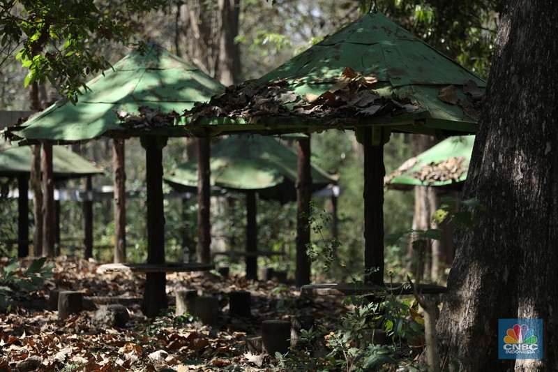Suasana sunyi sepi perjalan menuju tempat wisata Gubuk Payung di Desa Temengeng, Jawa Tengah, Selasa (1/8/2023). Lokasi wisata yang menyimpan sejuta pesona ini mangkrak tak terurus hingga semakin ditinggalkan wisatawan. Suasana sunyi sepi perjalan menuju tempat wisata Gubuk Payung di Desa Temengeng, Jawa Tengah, Selasa (1/8/2023). Lokasi wisata yang menyimpan sejuta pesona ini mangkrak tak terurus hingga semakin ditinggalkan wisatawan. (CNBC Indonesia/Tri Susilo)