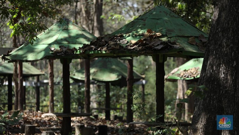 Suasana sunyi sepi perjalan menuju tempat wisata Gubuk Payung di Desa Temengeng, Jawa Tengah, Selasa (1/8/2023). Lokasi wisata yang menyimpan sejuta pesona ini mangkrak tak terurus hingga semakin ditinggalkan wisatawan. (CNBC Indonesia/Tri Susilo)