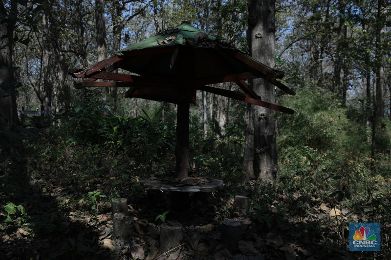 Suasana sunyi sepi perjalan menuju tempat wisata Gubuk Payung di Desa Temengeng, Jawa Tengah, Selasa (1/8/2023). Lokasi wisata yang menyimpan sejuta pesona ini mangkrak tak terurus hingga semakin ditinggalkan wisatawan. (CNBC Indonesia/Tri Susilo)