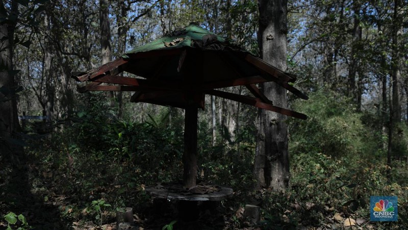 Suasana sunyi sepi perjalan menuju tempat wisata Gubuk Payung di Desa Temengeng, Jawa Tengah, Selasa (1/8/2023). Lokasi wisata yang menyimpan sejuta pesona ini mangkrak tak terurus hingga semakin ditinggalkan wisatawan. (CNBC Indonesia/Tri Susilo)