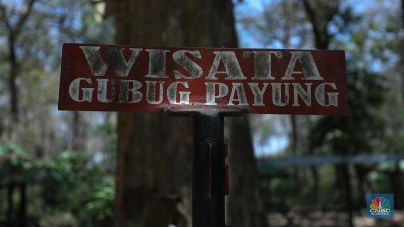 Suasana sunyi sepi perjalan menuju tempat wisata Gubuk Payung di Desa Temengeng, Jawa Tengah, Selasa (1/8/2023). Lokasi wisata yang menyimpan sejuta pesona ini mangkrak tak terurus hingga semakin ditinggalkan wisatawan. (CNBC Indonesia/Tri Susilo)
