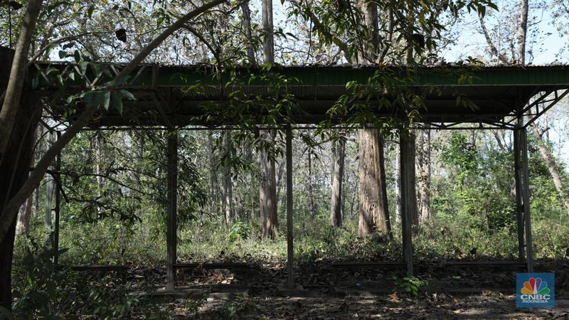 Suasana sunyi sepi perjalan menuju tempat wisata Gubuk Payung di Desa Temengeng, Jawa Tengah, Selasa (1/8/2023). Lokasi wisata yang menyimpan sejuta pesona ini mangkrak tak terurus hingga semakin ditinggalkan wisatawan. (CNBC Indonesia/Tri Susilo)