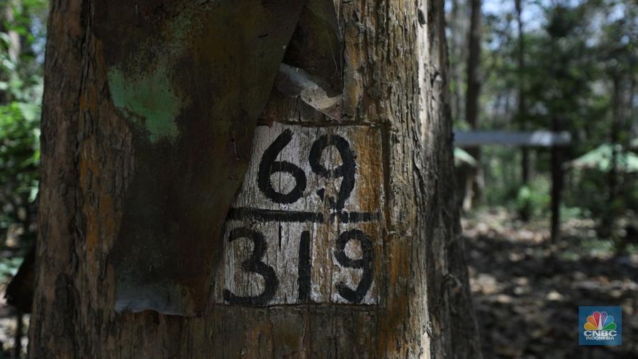 Suasana sunyi sepi perjalan menuju tempat wisata Gubuk Payung di Desa Temengeng, Jawa Tengah, Selasa (1/8/2023). Lokasi wisata yang menyimpan sejuta pesona ini mangkrak tak terurus hingga semakin ditinggalkan wisatawan. (CNBC Indonesia/Tri Susilo)