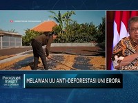 Uni Eropa Bikin Susah Petani, RI Bakal Ekspor Kopi ke Timur