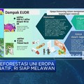 UU Antideforestasi Uni Eropa Diskriminatif, RI Siap Melawan