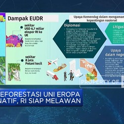 UU Antideforestasi Uni Eropa Diskriminatif, RI Siap Melawan
