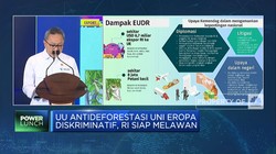 UU Antideforestasi Uni Eropa Diskriminatif, RI Siap Melawan