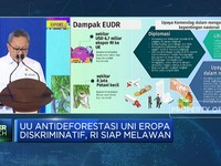 UU Antideforestasi Uni Eropa Diskriminatif, RI Siap Melawan