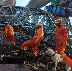 Ngeri! Potret Crane Ambruk di India, 17 Orang Tewas Tertimpa