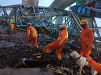 Ngeri! Potret Crane Ambruk di India, 17 Orang Tewas Tertimpa