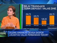 Jokowi Amankan Devisa Ekspor, Likuiditas Valas di Bank Aman?