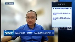 Lapor Pak Jokowi, Pedagang Sebut Ketahanan Pangan RI 