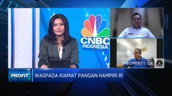 Krisis Pangan Ancam Dunia, Bapanas Yakin Stok Pangan RI Aman!